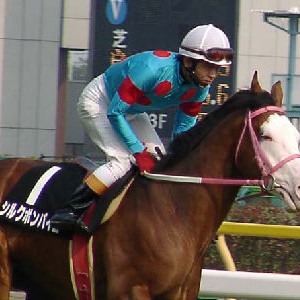 日本競馬史上最も容姿が醜い有名競走馬は？