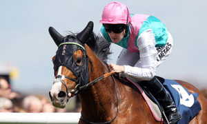 Noble Mission wins at Newbury