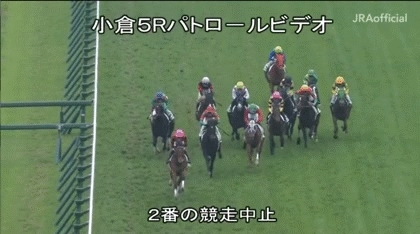 15日小倉5Rで藤田菜七子騎手(22)が落馬 鎖骨骨折 またも関東リーディング上位騎手が長期離脱 mnewsplus 1581744118 4702 - 15日小倉5Rで藤田菜七子騎手(22)が落馬 鎖骨骨折 またも関東リーディング上位騎手が長期離脱