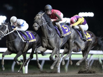 帝王賞(大井・Jpn1) 国内では敵なし!好位追走クリソベリル(川田将)直線抜け出し完勝!ダートG1・3勝目 mnewsplus 1592998135 101 - 帝王賞(大井・Jpn1) 国内では敵なし!好位追走クリソベリル(川田将)直線抜け出し完勝!ダートG1・3勝目