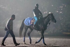 keiba 1669808309 101 300x203 - 【競馬】グローリーヴェイズが引退を発表　種牡馬としてのオファーがあった為