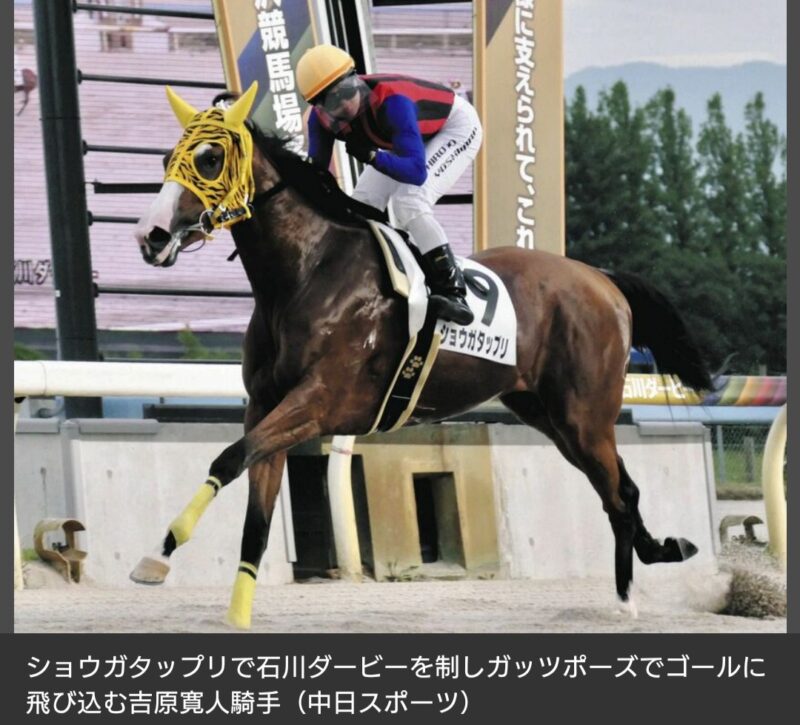 【競馬】ショウガタップリが石川ダービーを圧勝し驚異の10連勝！これでデビューから無敗の10戦10勝