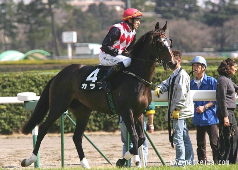 【競馬】史上最強障害馬カラジ死亡。29歳