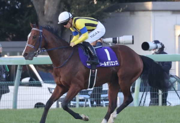 【競馬】ソールオリエンス京都記念、川田