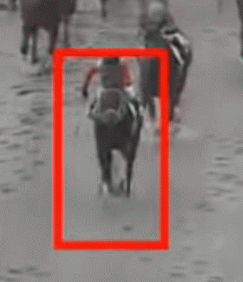 mnewsplus 1461084897 16302 - 騎手歴40年のベテラン騎手・丹羽克輝、負けた腹いせに馬殴る！？