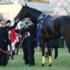 北島三郎が競り落としていた「第二のキタサンブラック」　ロードカナロア産駒を4200万円で落札